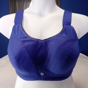 Livi Active Sports Bra 42D Molded Underwire High Impact Max Support Royal Blue
